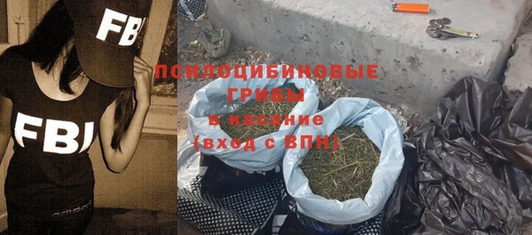 крисы Балахна