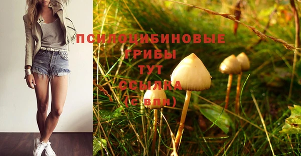 крисы Балахна