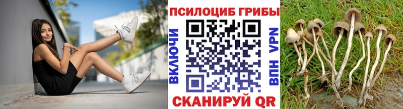 Галлюциногенные грибы мухоморы  даркнет какой сайт  Кологрив  дарнет шоп  MEGA маркетплейс 